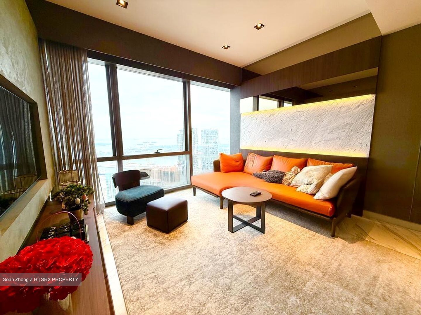 Wallich Street (D2), Condominium #454019891